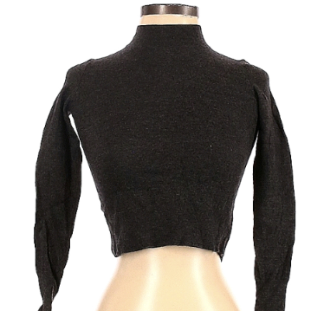 Theory Merino Wool Cropped Turtleneck Small